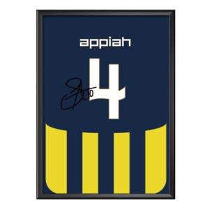 Stephen Appiah 4 Poster (Çerçeveli)